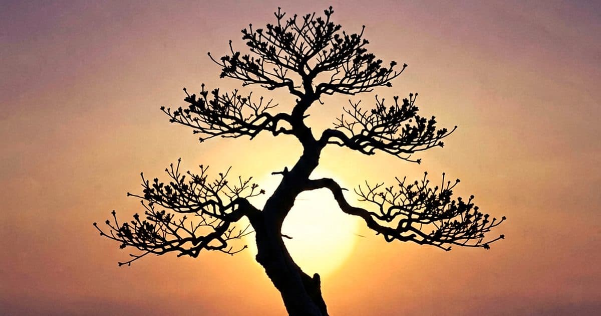 Bonsai Prune Online
